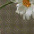 Preview of cross stitch pattern: #861571