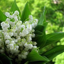 Cross stitch pattern: #862389