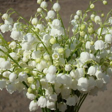 Cross stitch pattern: #862390