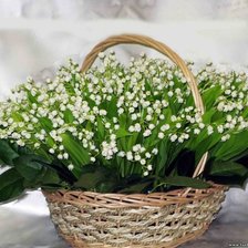 Cross stitch pattern: #862397