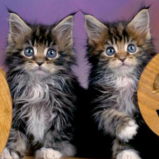 Cross stitch pattern: #862413