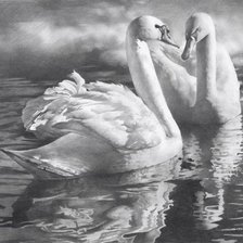 Cross stitch pattern: #863272