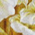 Preview of cross stitch pattern: #863769