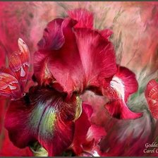 Cross stitch pattern: #863803