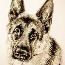 Cross stitch pattern: #864106