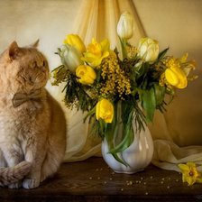 Cross stitch pattern: #864362