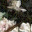 Preview of cross stitch pattern: #864566