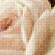 Preview of cross stitch pattern: #864650