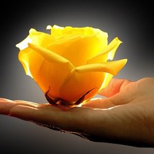 Cross stitch pattern: #864708