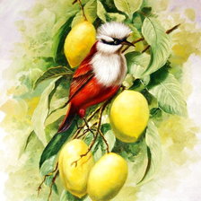 Cross stitch pattern: #865589