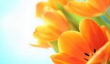 Cross stitch pattern: #866091