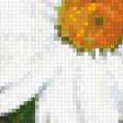 Preview of cross stitch pattern: #866244
