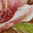Preview of cross stitch pattern: #866855