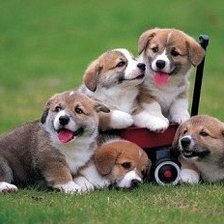 Cross stitch pattern: #868109