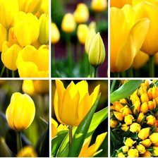 Cross stitch pattern: #868111