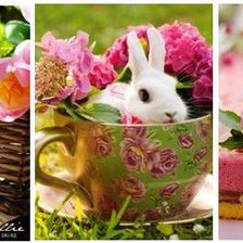 Cross stitch pattern: #868157