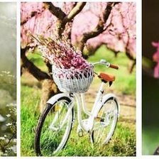 Cross stitch pattern: #868164