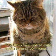Cross stitch pattern: #868172