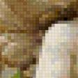 Preview of cross stitch pattern: #868174