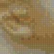 Preview of cross stitch pattern: #868176
