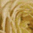Preview of cross stitch pattern: #868185