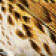 Preview of cross stitch pattern: #868834