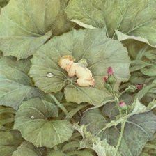 Cross stitch pattern: #869678