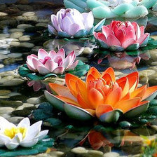 Cross stitch pattern: #869871