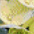 Preview of cross stitch pattern: #870006