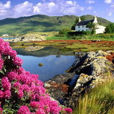 Cross stitch pattern: #870061