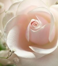 Cross stitch pattern: #870086