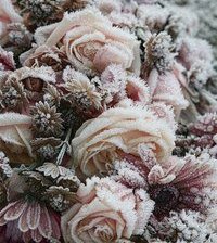 Cross stitch pattern: #870618