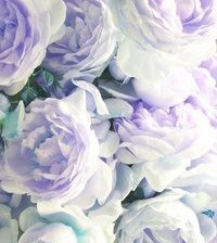 Cross stitch pattern: #870619