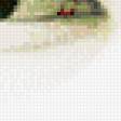 Preview of cross stitch pattern: #870921