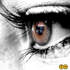 Cross stitch pattern: #871021