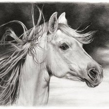 Cross stitch pattern: #871031