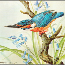 Cross stitch pattern: #871706