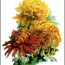 Cross stitch pattern: #871721