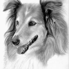 Cross stitch pattern: #871928