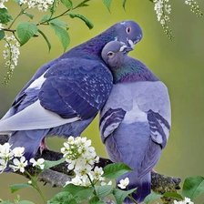 Cross stitch pattern: #872260