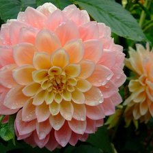 Cross stitch pattern: #872549