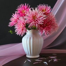 Cross stitch pattern: #872552