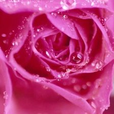 Cross stitch pattern: #872899