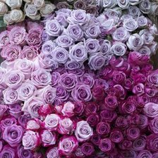 Cross stitch pattern: #872900