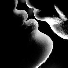 Cross stitch pattern: #873127