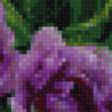 Preview of cross stitch pattern: #873233