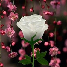 Cross stitch pattern: #873238