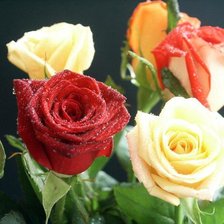 Cross stitch pattern: #873271