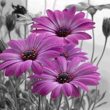 Cross stitch pattern: #873289