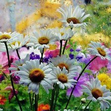 Cross stitch pattern: #873294